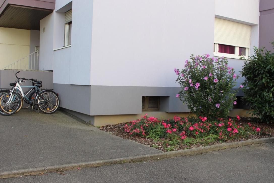 Studios Lora Rm 860 Saint-Louis  Zewnętrze zdjęcie