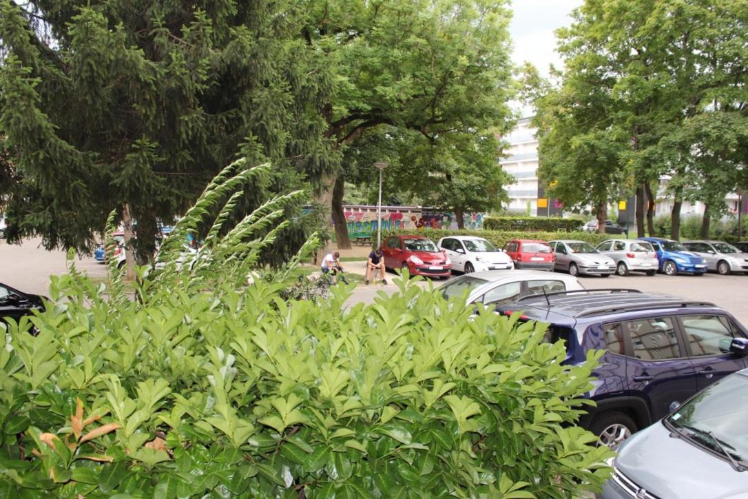 Studios Lora Rm 860 Saint-Louis  Zewnętrze zdjęcie